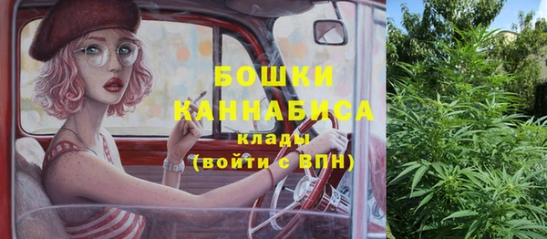 шишки Армянск