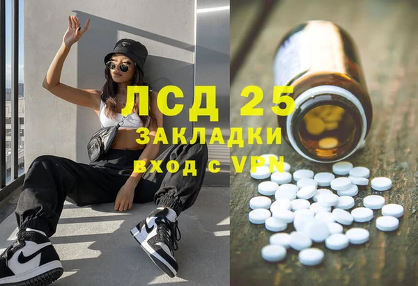 шишки Армянск