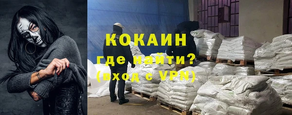 шишки Армянск