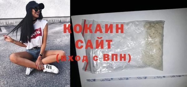 шишки Армянск