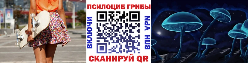 Купить  Спас-Деменск  Псилоцибиновые грибы Psilocybine cubensis 